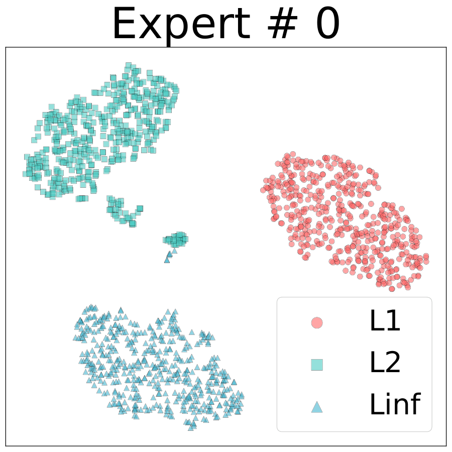 t-SNE of RoME low-rank expert 0 outputs