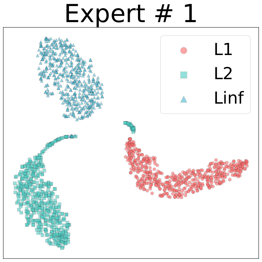 t-SNE of RoME low-rank expert 1 outputs